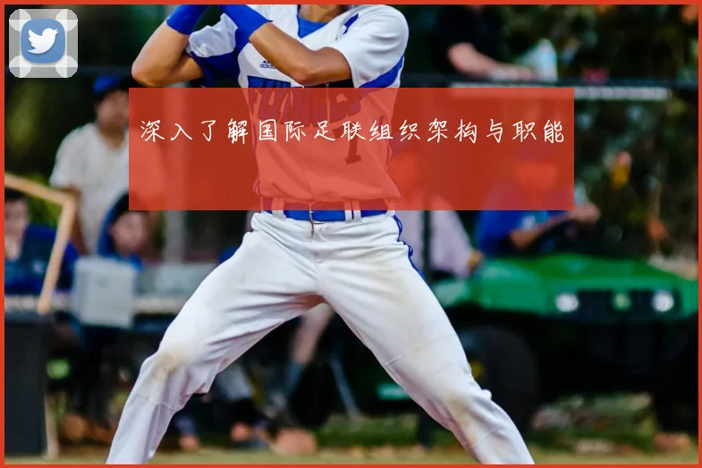 深入了解国际足联组织架构与职能