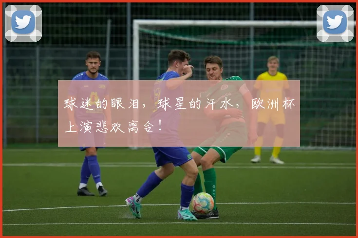 球迷的眼泪，球星的汗水，欧洲杯上演悲欢离合！