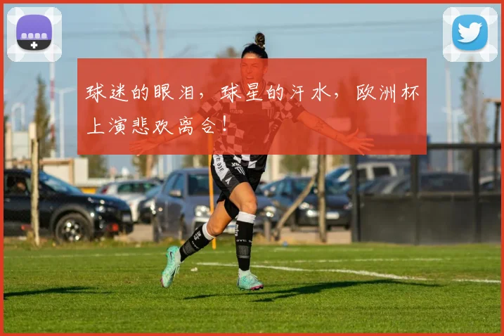 球迷的眼泪,球星的汗水,欧洲杯上演悲欢离合!