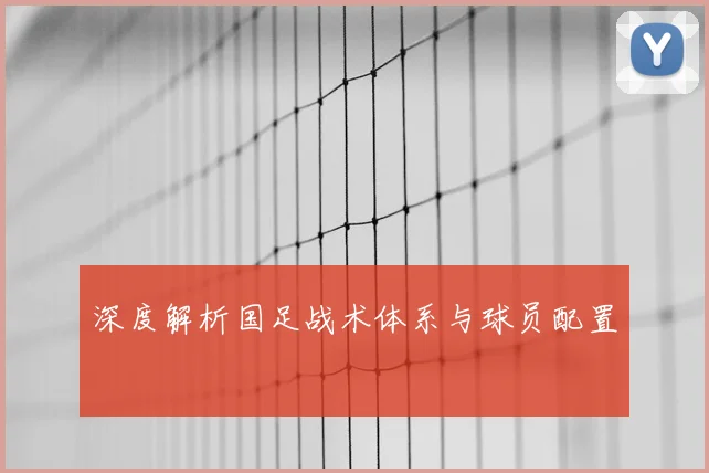 深度解析国足战术体系与球员配置