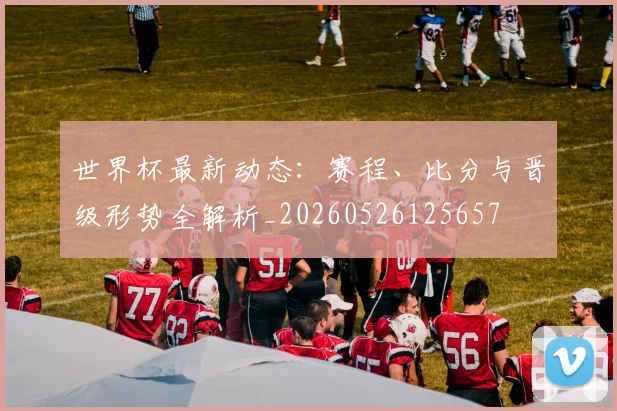 世界杯最新动态：赛程、比分与晋级形势全解析_20260526125657
