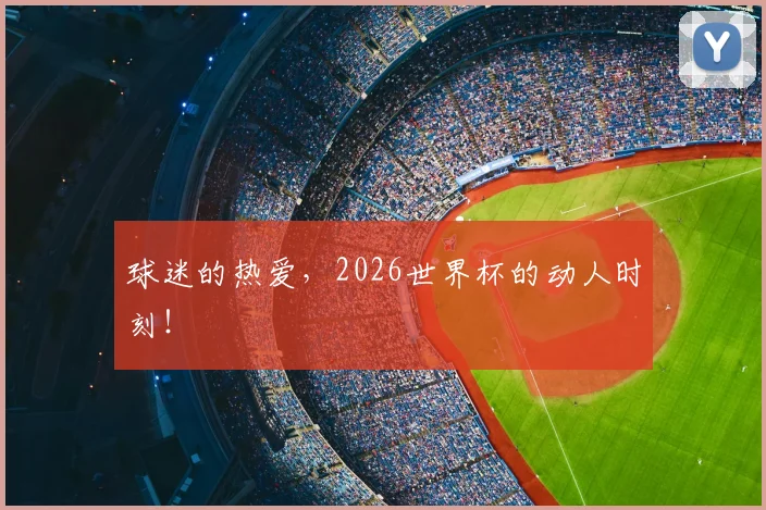 球迷的热爱,2026世界杯的动人时刻!