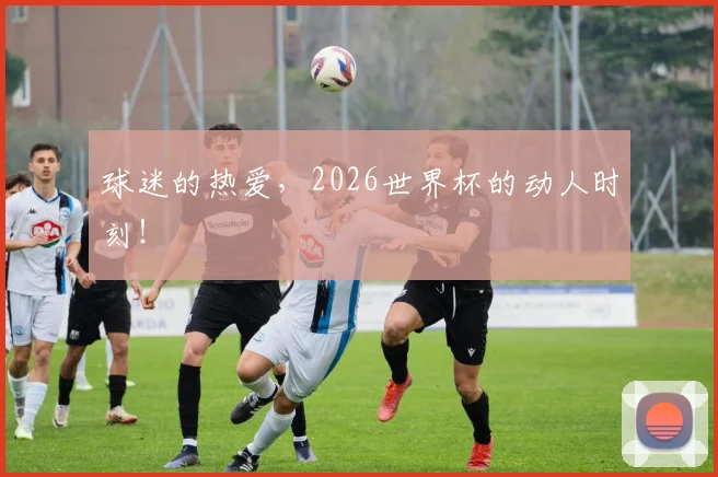 球迷的热爱，2026世界杯的动人时刻！